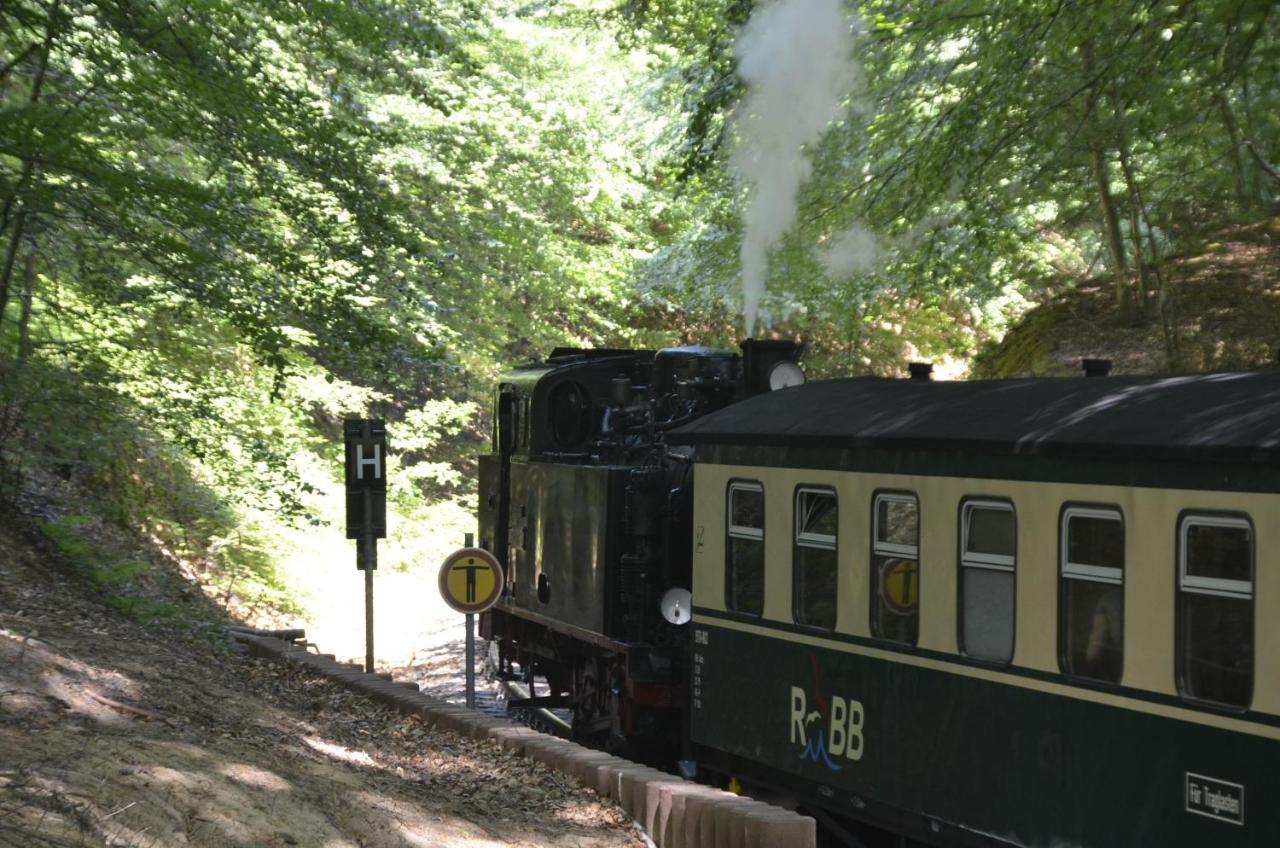 Meerforelle 207 - Villa Seeblick Sassnitz Εξωτερικό φωτογραφία