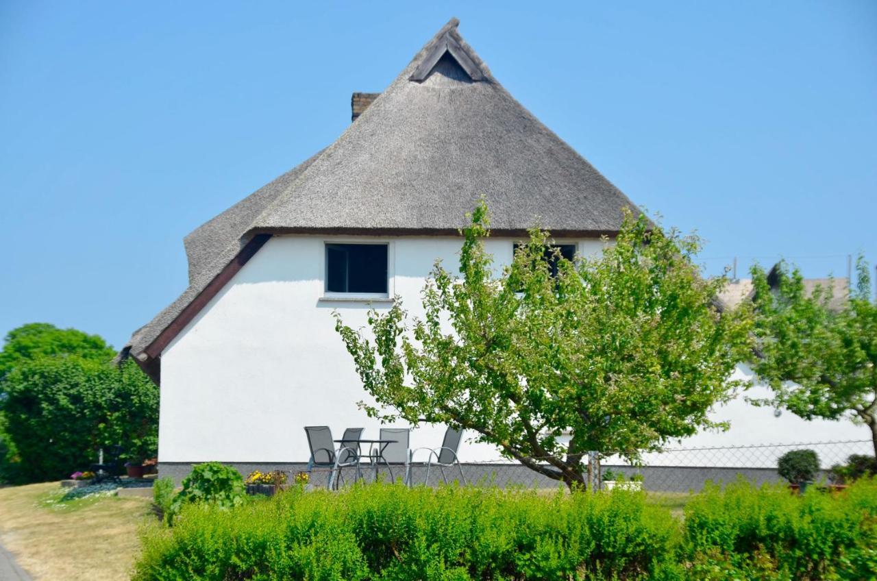 Meerforelle 207 - Villa Seeblick Sassnitz Εξωτερικό φωτογραφία